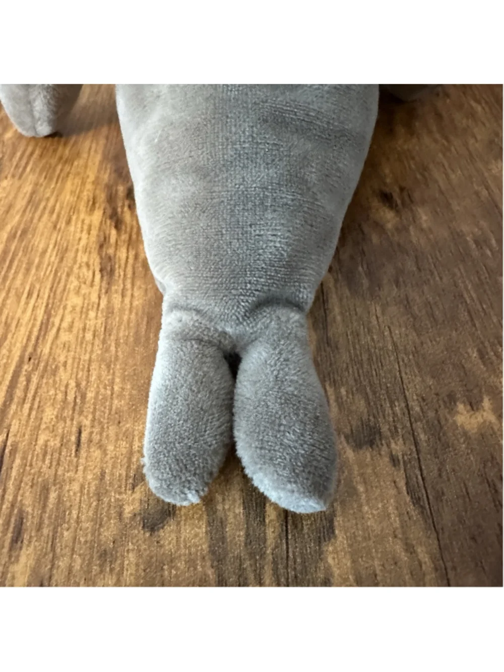 Jellycat Wrinkles Walrus 8” Collectible Plush Toy Stuffed Animal Rare & VHTF